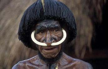 世界风俗--巴布亚新几内亚猪的崇拜