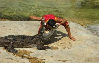 世界风俗--巴布亚新几内亚世界鳄鱼之都