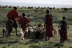 ������Ϊ����Ĳ��弰��ϰ��