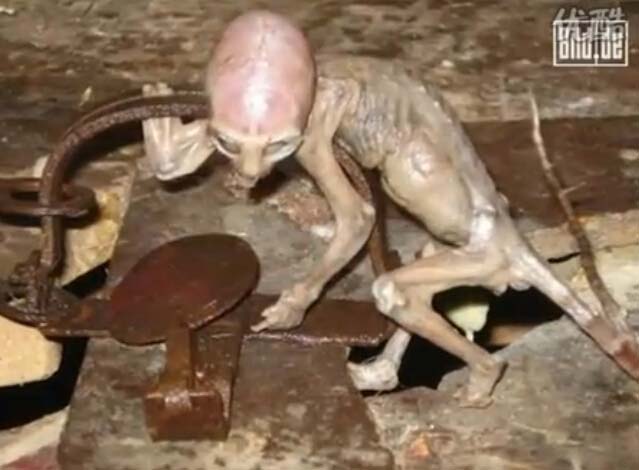 īŹ--ũ˱