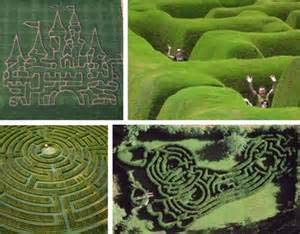 Mevagissey的Heligan迷失花园(Lost Garden of Heligan)