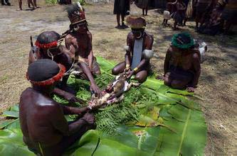 ̽������--ʳ����