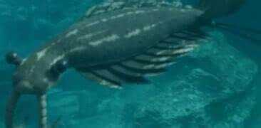 ̽������������ǰ��10������   ������Ы��Brontoscorpio anglicus