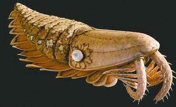 ̽������������ǰ��10������  ��Ϻ