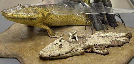 ̽������������ǰ��10������  ����������