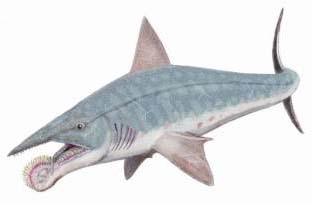 ̽������������ǰ��10������  ������