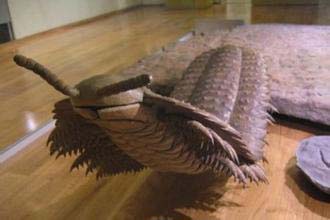 ̽������������ǰ��10������ Զ������