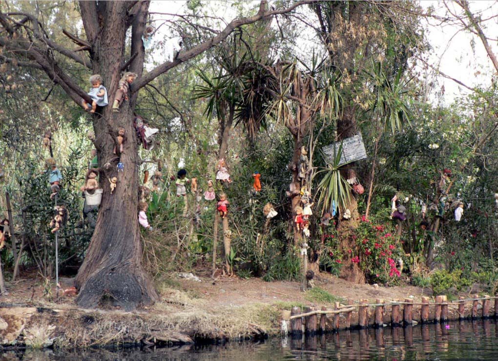 ����10�����̬�ط�--ī������޵�