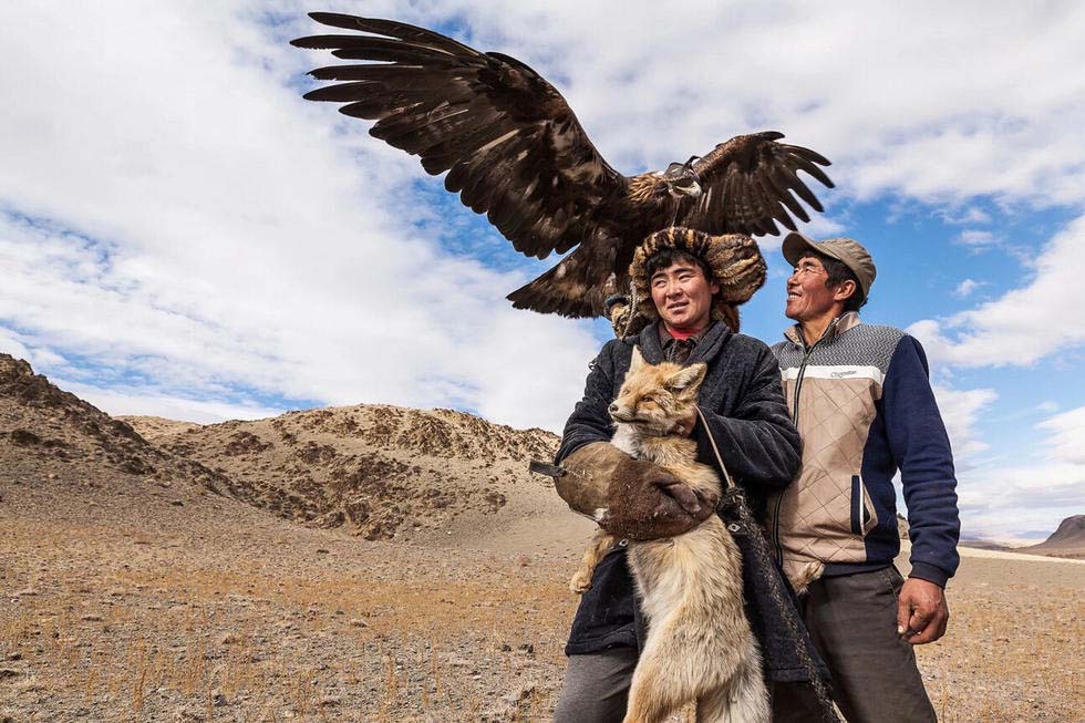 蒙古4000年传统习惯 猎鹰驯化面对失传