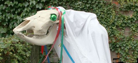 ̽��������ؾŴ�����ʥ��ϰ�ף�