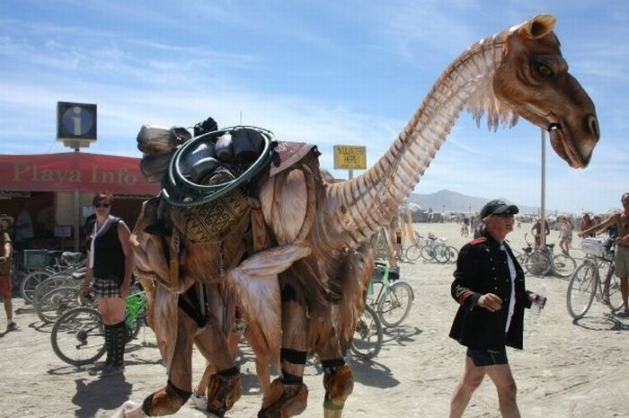 ̽ͳ--˽ڣ(Burning Man Festival)