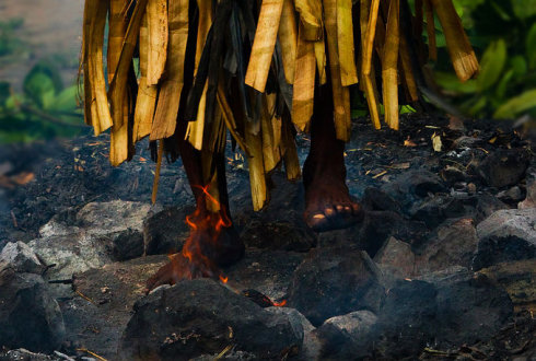 �����������ص��ڽ���ʽ 쳼�Ⱥ�������ϰ��