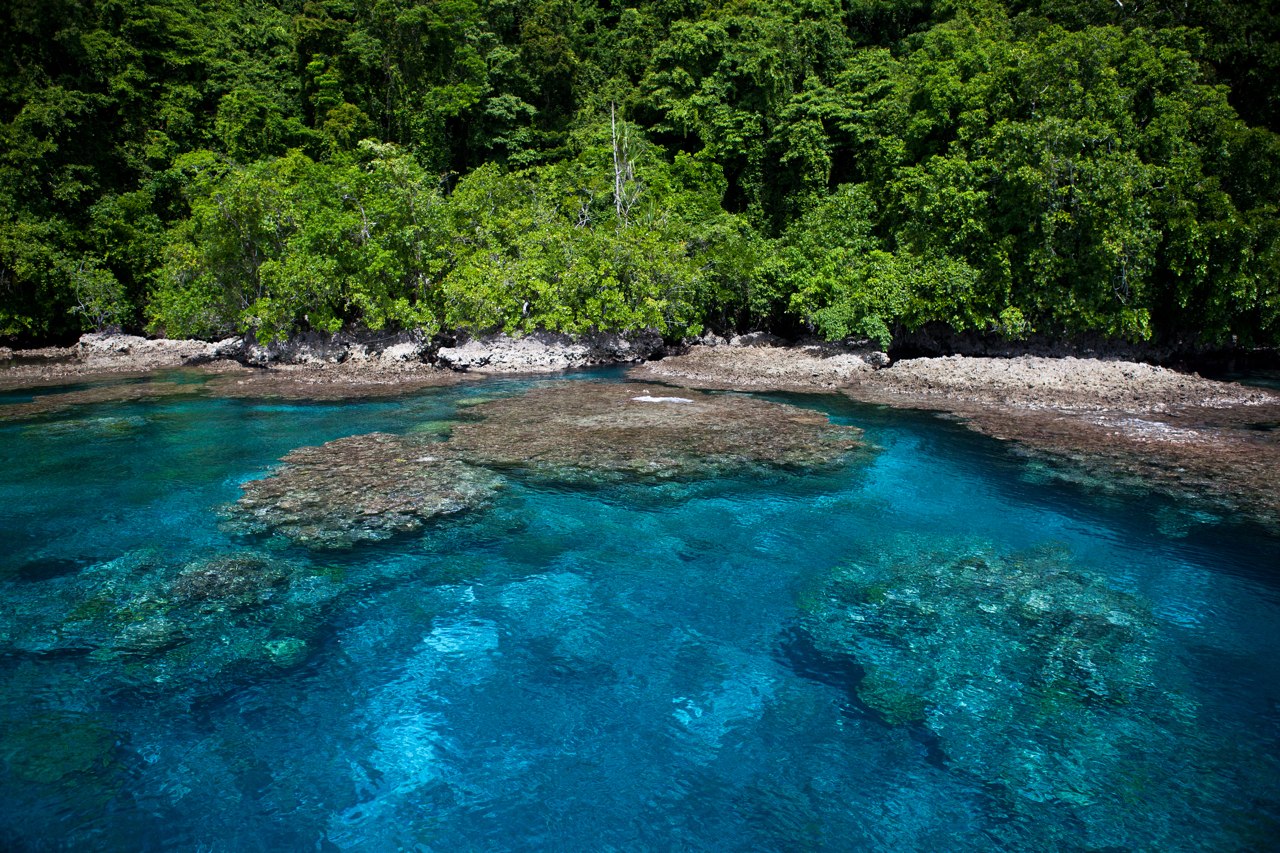 所罗门群岛世界最好的潜水区之一