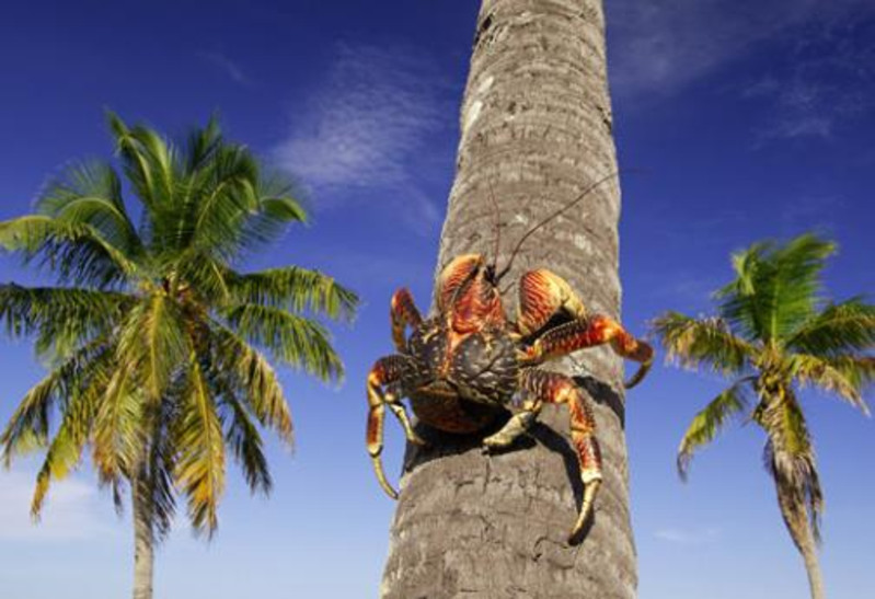 ������Ⱥ������ϰ��--�ز���Ҭ��з