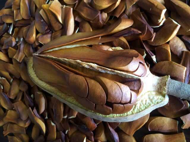 ������Ⱥ������ϰ��--�ز����������