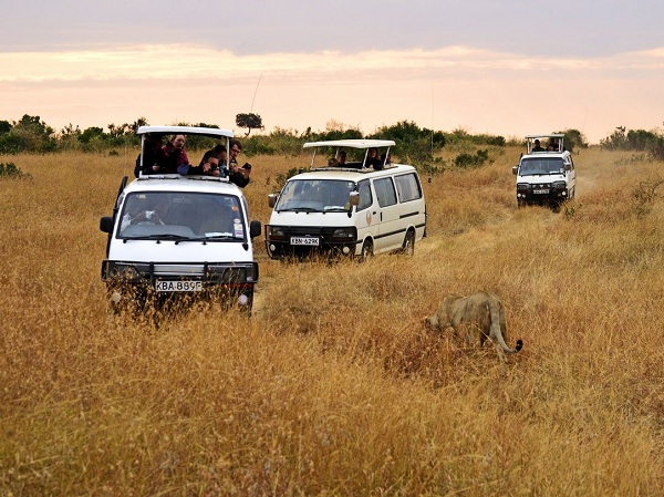 ȥ�������α���ע��ļ�������