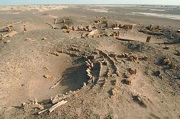 沙漠中最诡异的楼兰太阳墓葬