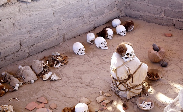 ��³���ξ����ȫ--��˹���Ļ�