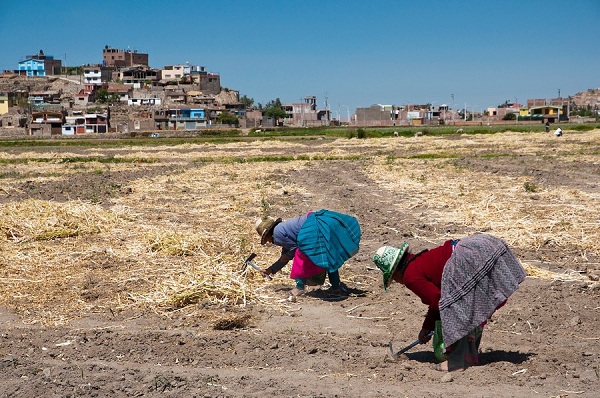 ³ξȫ--׻Arequipa