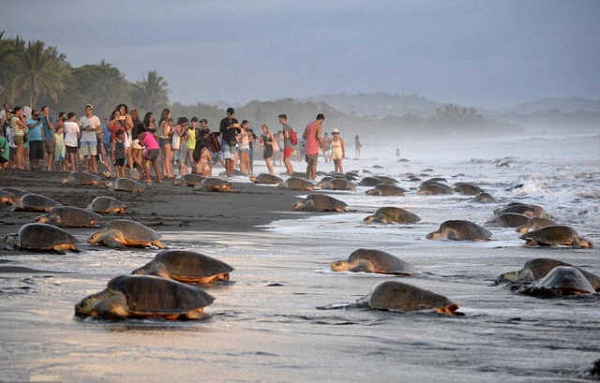 ˹ӣCosta Ricaָ--ɿɵ羰