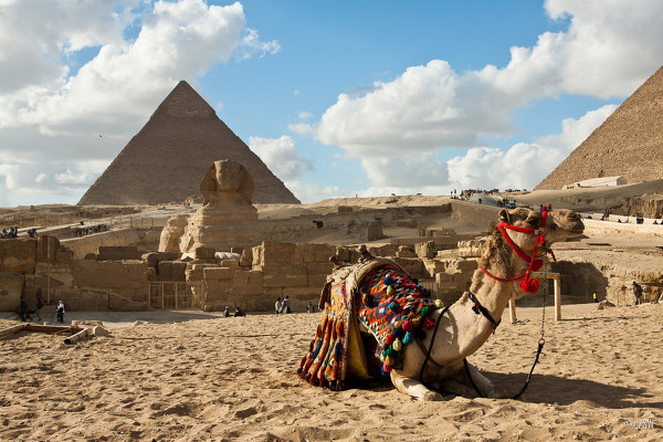 古埃及金字塔的盗墓灵异事件