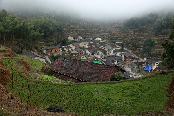 畲族传统习俗--浙江南部景畲族村寨宁李宝村