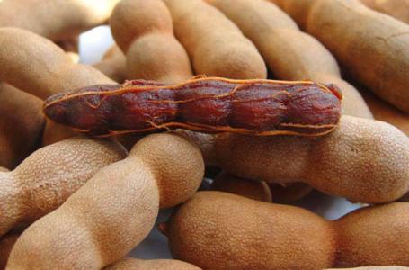 傣族传统习俗--特色美食：酸角