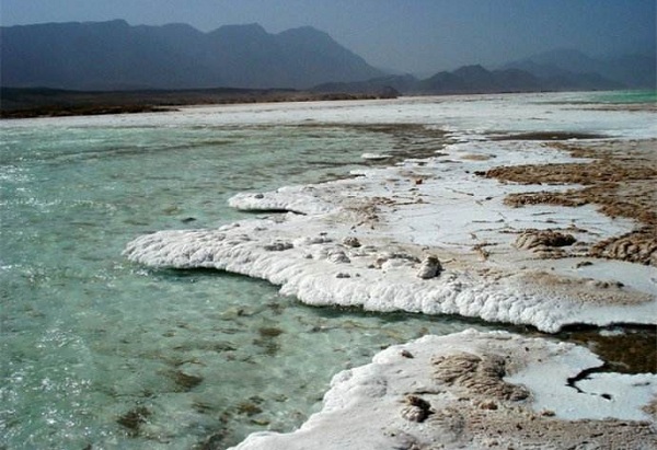 ����������ָ��--��������