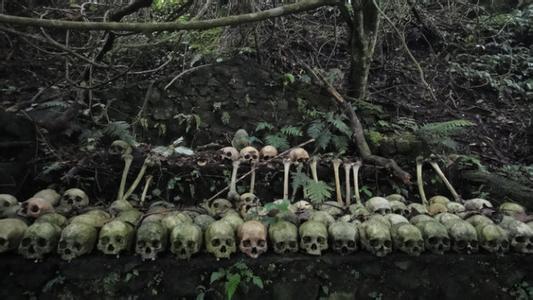 探索巴厘岛特鲁原住民的天葬习俗--死者天葬