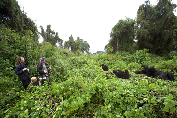 ¬�������ϰ��--��ɽ���ҹ�԰��ɽ�ش�����