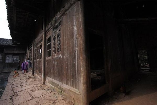 ̽���й�����ѹկ����--��Ҷ���ƽ�ɾ�