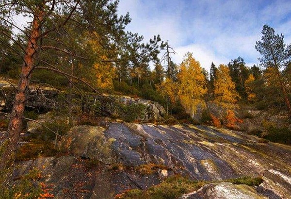 ξȫ--ԼյĿҹ԰Koli National Park