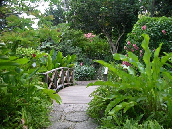 巴巴多斯巴巴多斯旅游景点大全--安德罗墨达花园