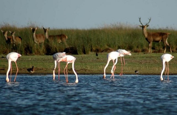 ������ʮ���������ξ���--�����ǹ��ҹ�԰��¹�ͻ���