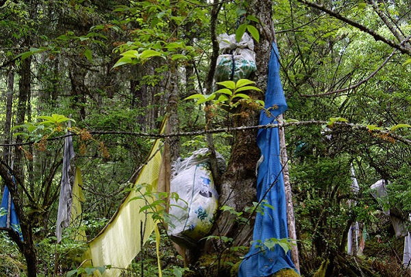 菲律宾吕宋岛甲米地树葬