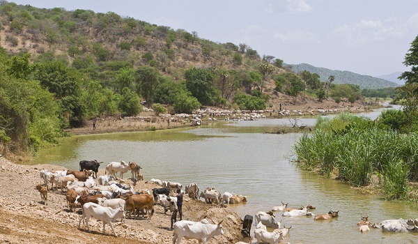 ̽���������ɱ��ħɽ��