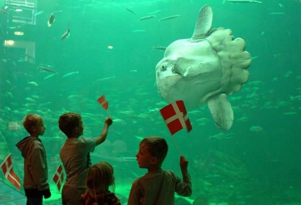 ����ʮ���������ξ���--��������ˮ��ݣ�Nordsøen Oceanarium��