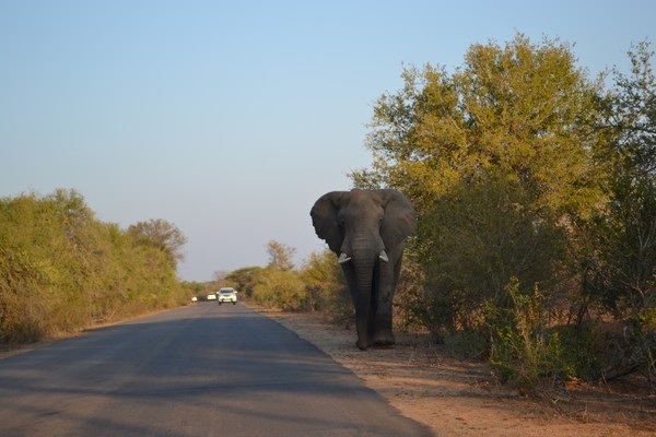 Īɣ�ȿ����ξ���ָ��--�ֲ������ҹ�԰