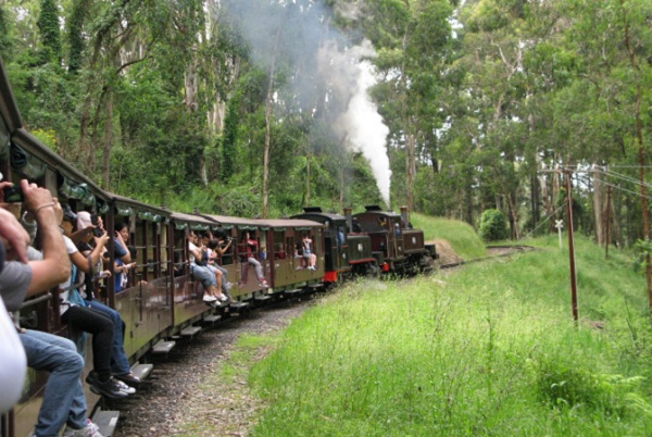 澳大利亚十大著名旅游景点--风景世界的森林火车