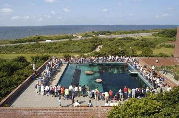 ҵͺ²ݣFisheries & Maritime Museum