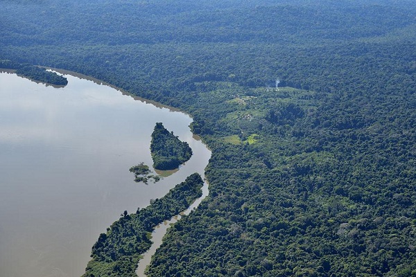 ʮξ--ѷ֣Amazon Rainforestֳ֣֡