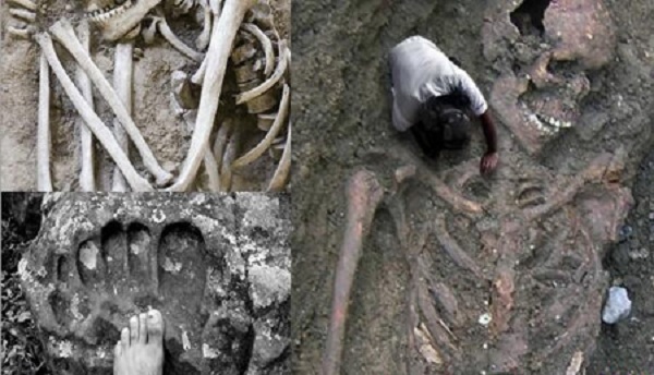 公开展示过的泰坦巨人骸骨--厄瓜多尔丛林里中失落的巨人城市遗迹