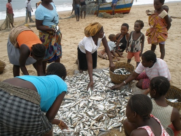 非洲安哥拉风俗禁忌--鱼市场