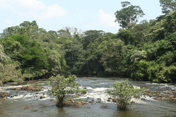 ��������ԭʼ����​