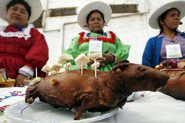秘鲁瓦乔小镇的《豚鼠节》--豚鼠肉富含多种维他命钙铁锌硒和其他营养物质