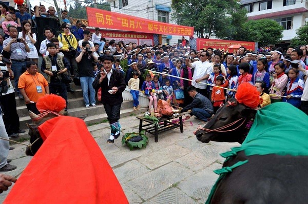 侗族传统节日一览--侗族祭牛神又称“祭牛生日”，或“洗牛身”。是侗族民间节日。
