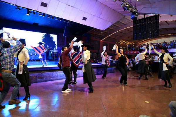 ��������ָ��--ҹ����