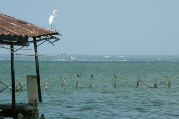 ​委内瑞拉其他热门景点--马拉开波湖​