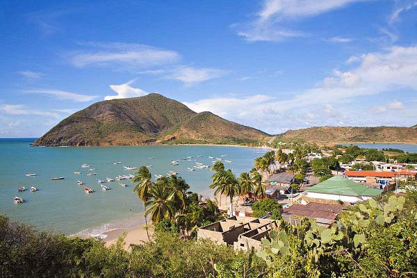 ​ί�������������ž���--���������