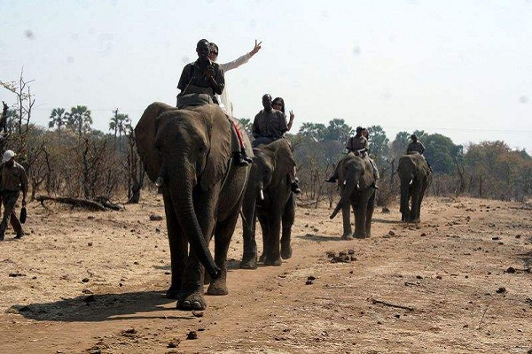 ��Ͳ�Τ����ָ��--���λ����������֮��